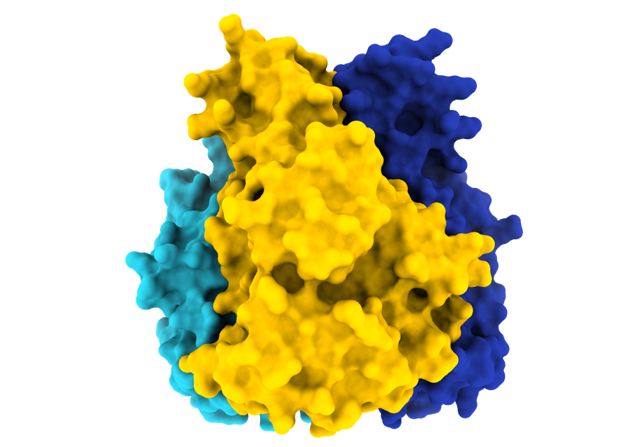 Synthetic Antigen Structure
