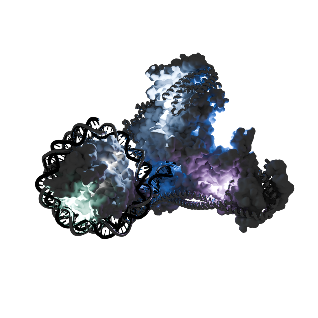 Nucleosome–DNA complex (PDB 7YWX) visualization