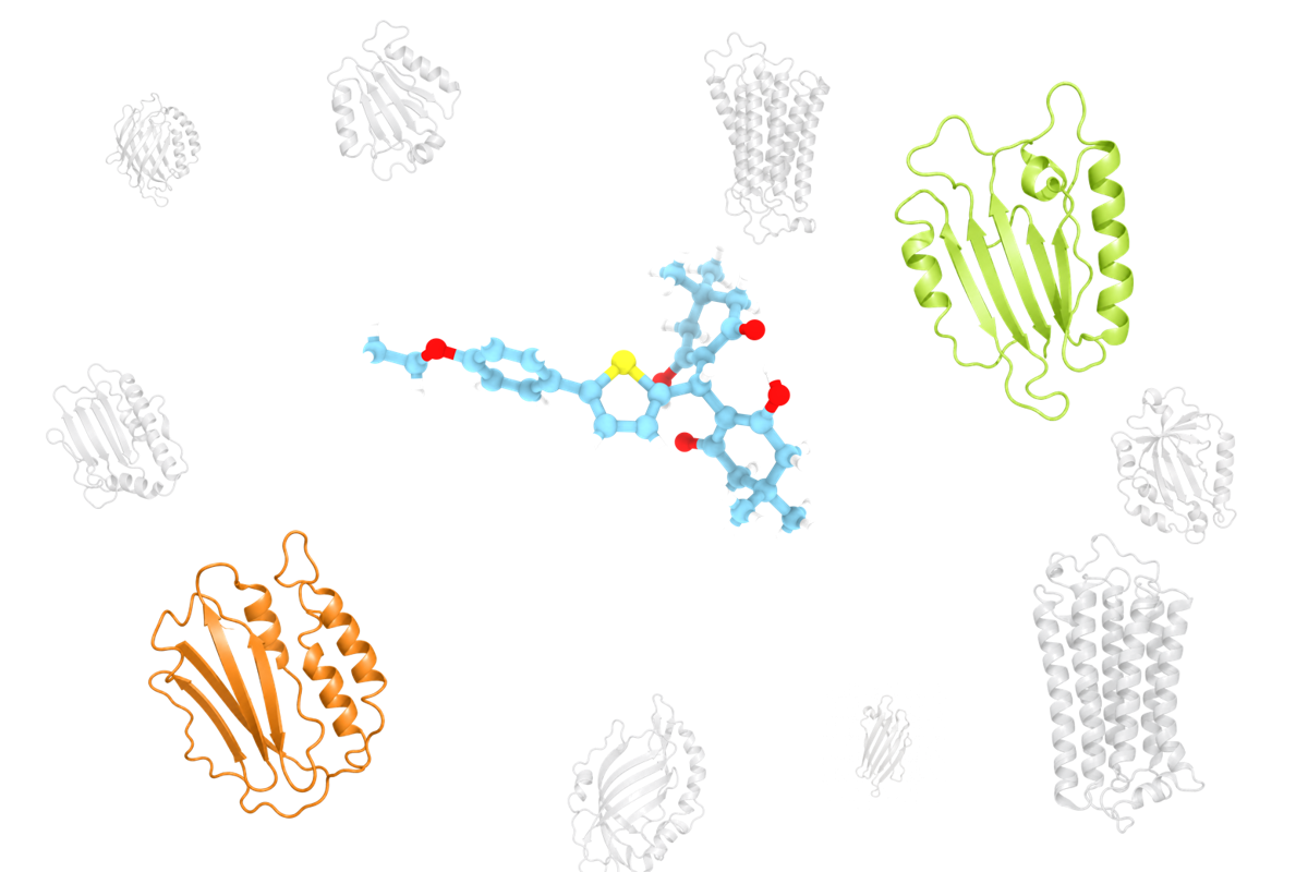 One compound reverse-docked across the human proteome, with its on-target and off-target matches highlighted