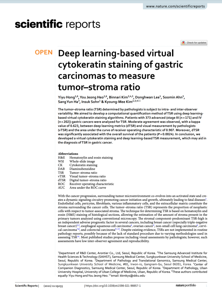 Deep learning-based virtual cytokeratin staining of gastric carcinomas to measure tumor–stroma ratio